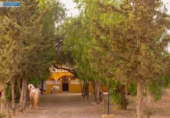 Casa de camp amb terreny en venda a la España, Fuente Álamo, ref.: TR161868 foto
