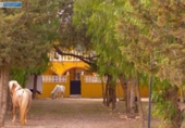 Casa de camp amb terreny en venda a la España, Fuente Álamo, ref.: TR161868 foto