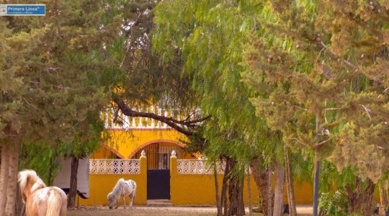 Murcia - Fuente Álamo de Murcia - 11000m2