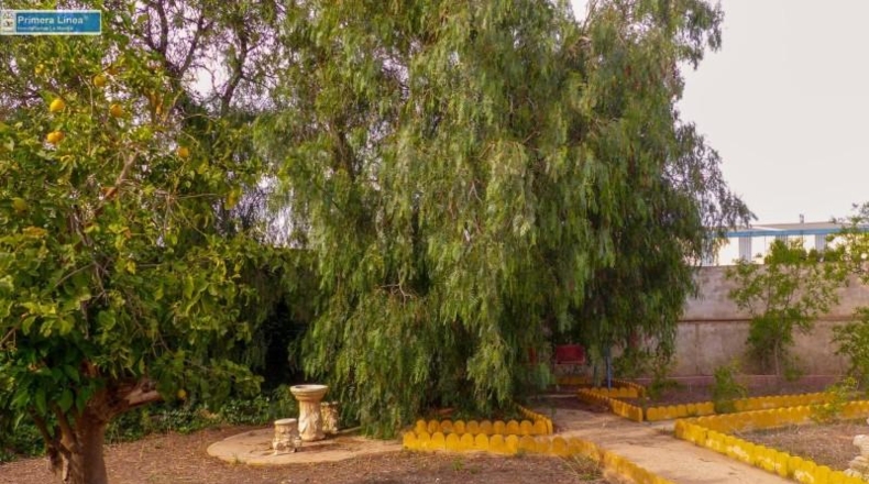 Murcia - Fuente Álamo de Murcia - 11000m2