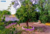 Casa de camp amb terreny en venda a la España, Fuente Álamo, ref.: TR161868 foto