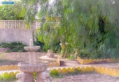 Casa de camp amb terreny en venda a la España, Fuente Álamo, ref.: TR161868 foto