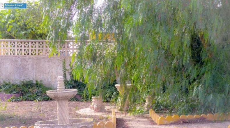 Murcia - Fuente Álamo de Murcia - 11000m2