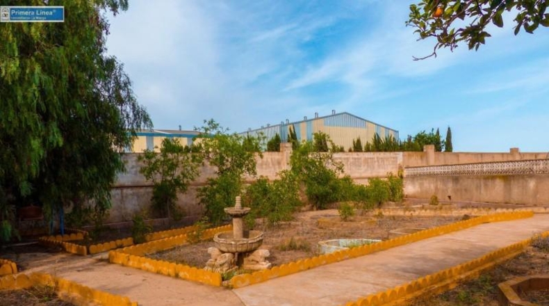 Murcia - Fuente Álamo de Murcia - 11000m2