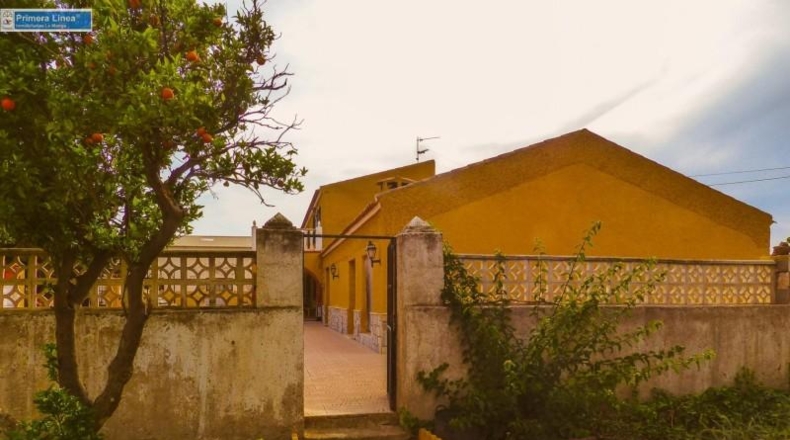 Murcia - Fuente Álamo de Murcia - 11000m2