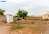 Casa de camp amb terreny en venda a la España, Fuente Álamo, ref.: TR161868 foto