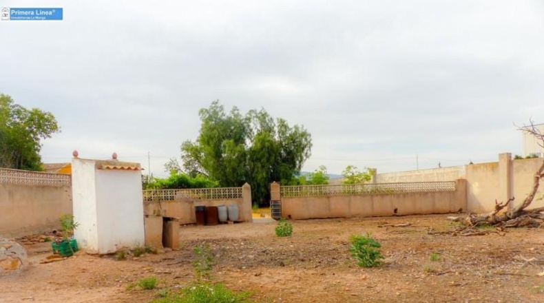 Murcia - Fuente Álamo de Murcia - 11000m2