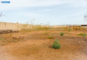 Casa de camp amb terreny en venda a la España, Fuente Álamo, ref.: TR161868 foto