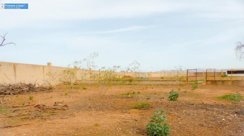 Murcia - Fuente Álamo de Murcia - 11000m2