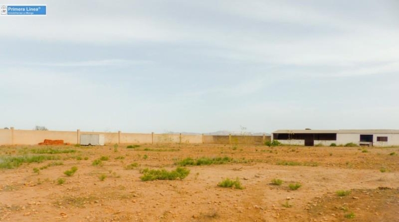 Murcia - Fuente Álamo de Murcia - 11000m2