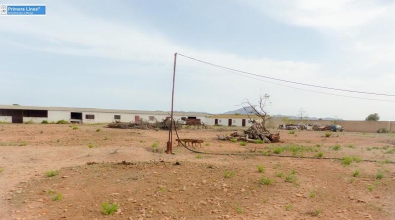 Murcia - Fuente Álamo de Murcia - 11000m2