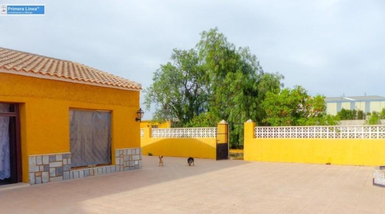 Murcia - Fuente Álamo de Murcia - 11000m2