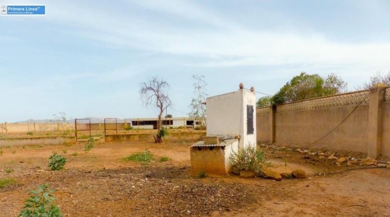 Murcia - Fuente Álamo de Murcia - 11000m2