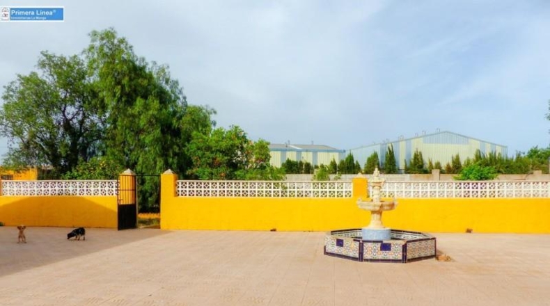 Murcia - Fuente Álamo de Murcia - 11000m2