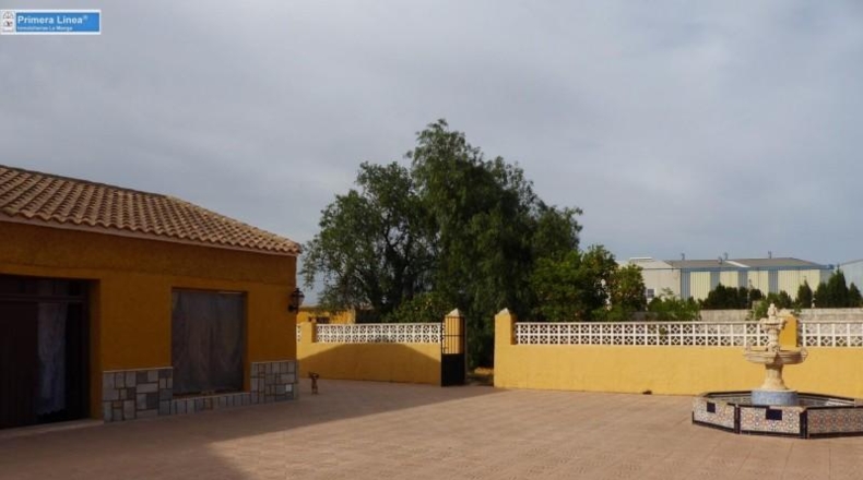 Murcia - Fuente Álamo de Murcia - 11000m2
