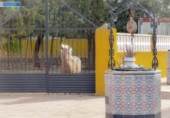 Casa de camp amb terreny en venda a la España, Fuente Álamo, ref.: TR161868 foto