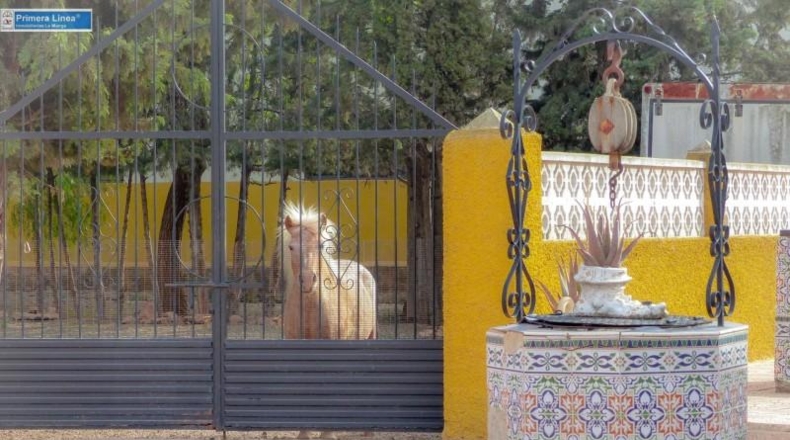 Murcia - Fuente Álamo de Murcia - 11000m2