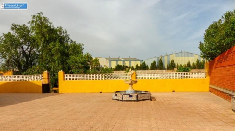 Murcia - Fuente Álamo de Murcia - 11000m2