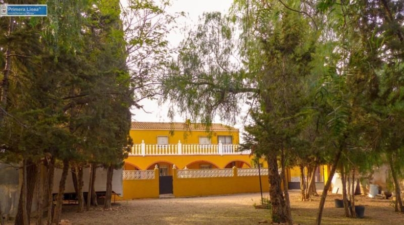 Murcia - Fuente Álamo de Murcia - 11000m2