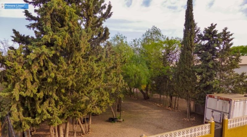 Murcia - Fuente Álamo de Murcia - 11000m2