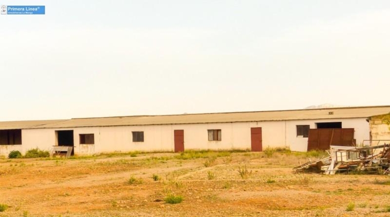Murcia - Fuente Álamo de Murcia - 11000m2