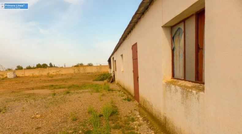Murcia - Fuente Álamo de Murcia - 11000m2