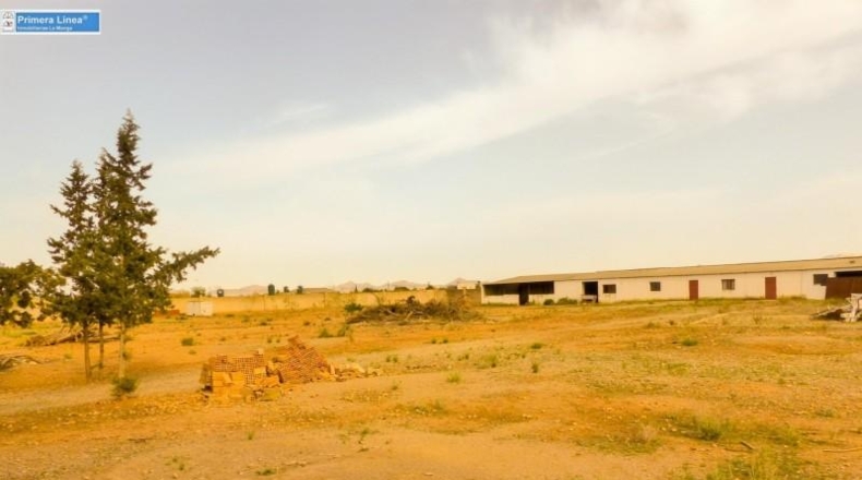 Murcia - Fuente Álamo de Murcia - 11000m2