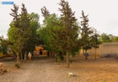 Casa de camp amb terreny en venda a la España, Fuente Álamo, ref.: TR161868 foto