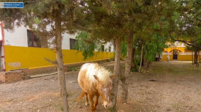 Murcia - Fuente Álamo de Murcia - 11000m2