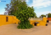Casa de camp amb terreny en venda a la España, Fuente Álamo, ref.: TR161868 foto