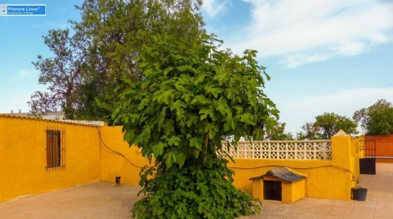 Murcia - Fuente Álamo de Murcia - 11000m2