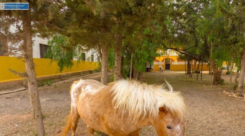 Murcia - Fuente Álamo de Murcia - 11000m2
