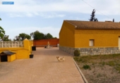 Casa de camp amb terreny en venda a la España, Fuente Álamo, ref.: TR161868 foto