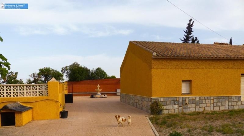 Murcia - Fuente Álamo de Murcia - 11000m2