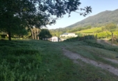 Terreny no urbanitzable en venda a la España, Irún, ref.: TR173918 foto