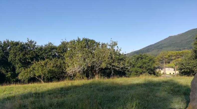 Guipúzcoa - Fuenterrabía - 15723m2