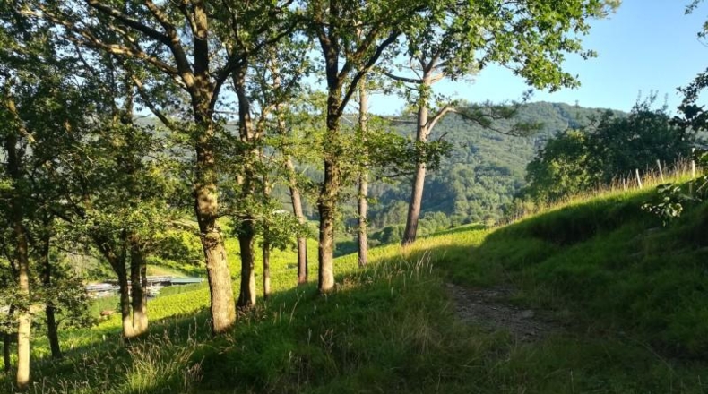 Guipúzcoa - Fuenterrabía - 15723m2
