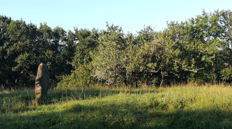 Guipúzcoa - Fuenterrabía - 15723m2