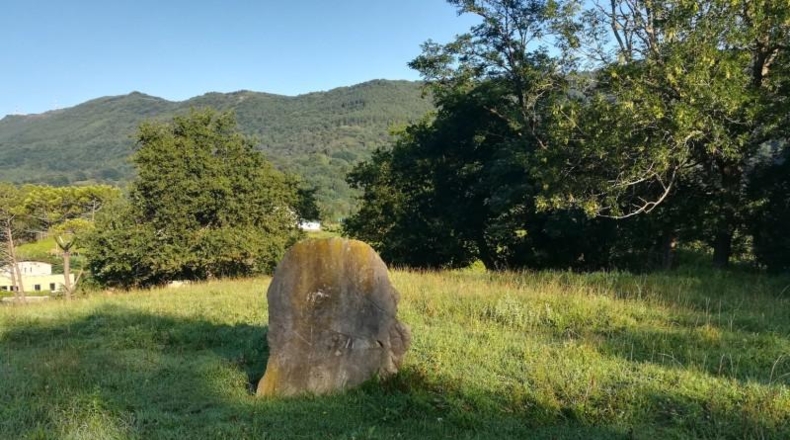 Guipúzcoa - Fuenterrabía - 15723m2