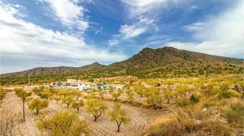 Alicante - Dolores - 25000m2