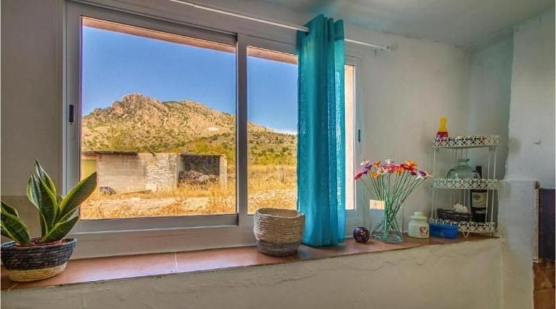 Alicante - Dolores - 25000m2