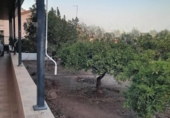 Chalet independiente con terreno en venta en la España, Lorca, ref: TR179790 foto