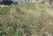 Land suitable for development for sale on España, Garrucha, ref: TR132186 photo