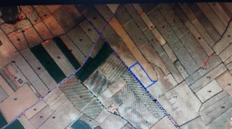 Murcia - Jumilla - 168000m2