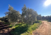 Casa de camp amb terreny en venda a la España, Antequera, ref.: TR282874 foto