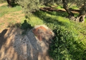 Casa de camp amb terreny en venda a la España, Antequera, ref.: TR282874 foto