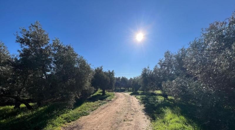 Málaga - Antequera - 71708m2