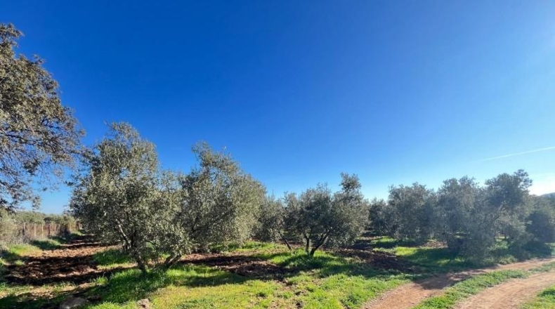 Málaga - Antequera - 71708m2