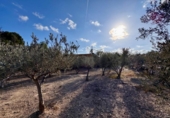 Casa de camp amb terreny en venda a la España, Pechina, ref.: TR236510 foto