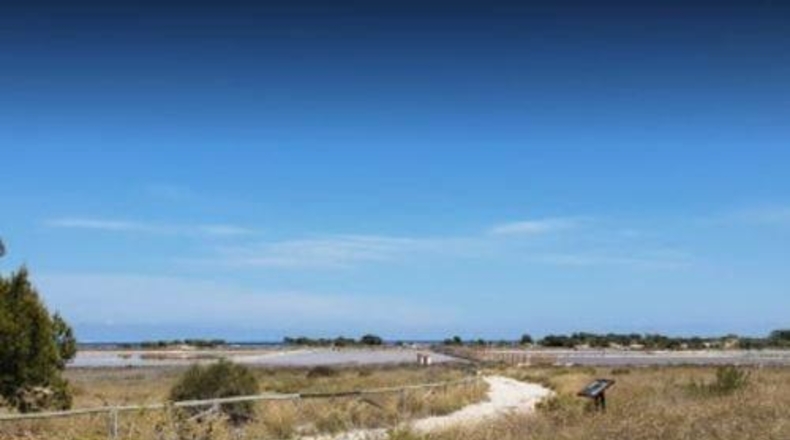 Alicante - Elche - 656m2